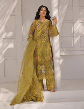 Aneela's Mendhi Organza Suit